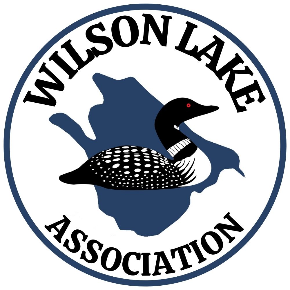 The Wilson Lake Association